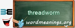 WordMeaning blackboard for threadworm